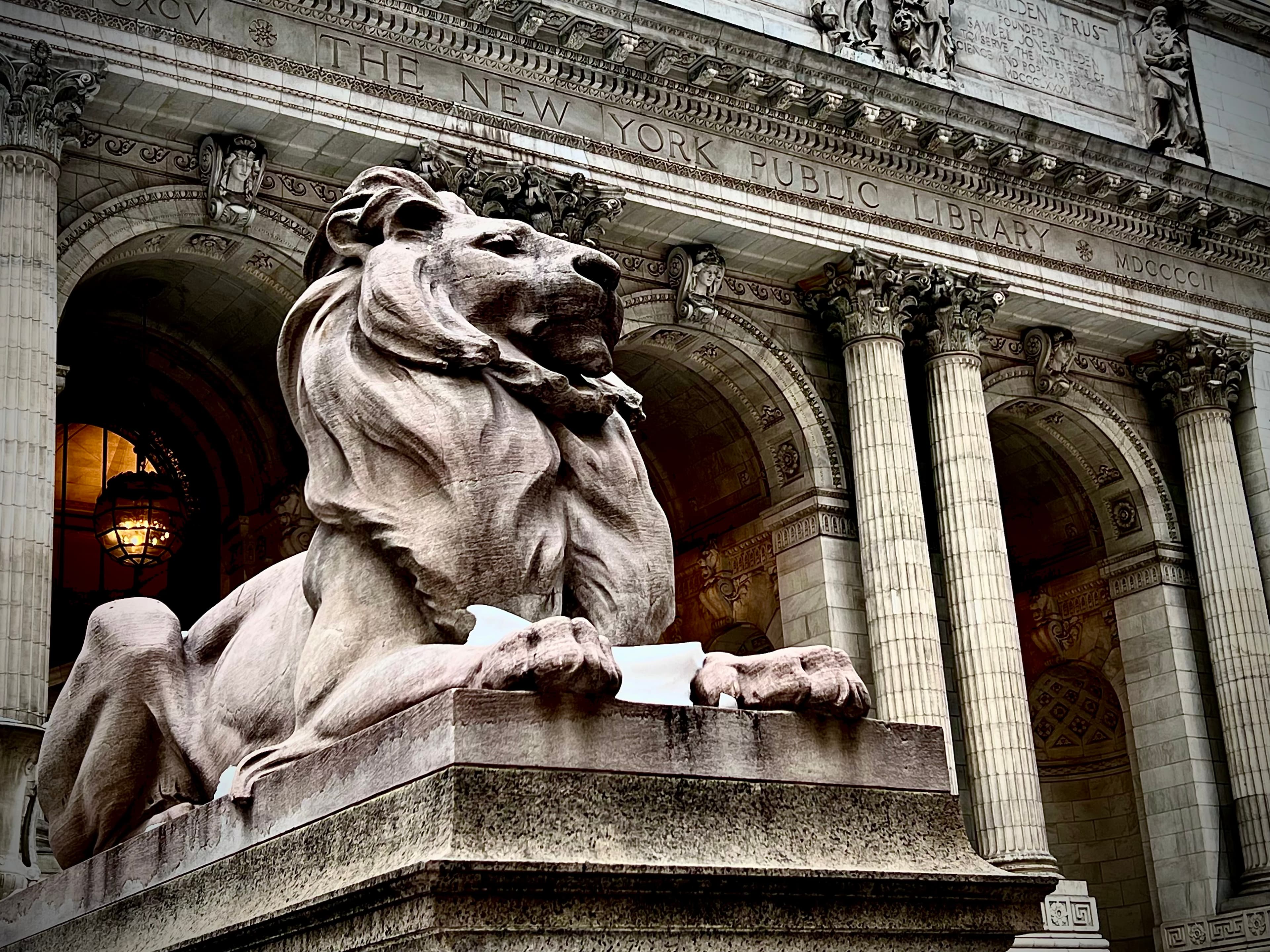Patience, the lion on the south side of the entrance steps, photographed February 6, 2026, with camera location at the library.
