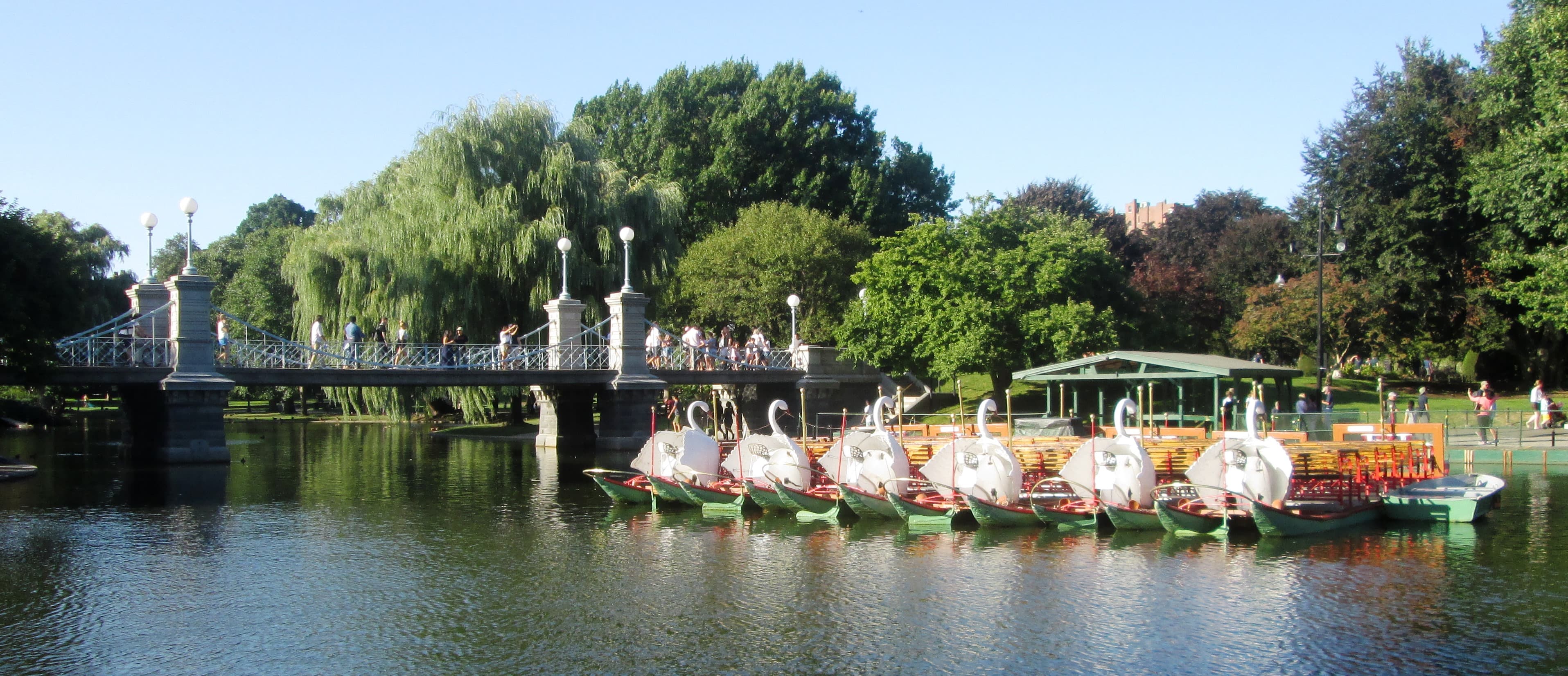 Swan Boats tied up in the lagoon of the Boston Public Garden, with the lagoon bridge in the background, photographed August 13, 2017. Credit: Beyond My Ken, GFDL / CC BY-SA, via Wikimedia Commons.